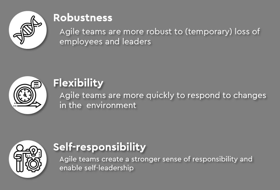 Robustness Flexibility Self Responsibility